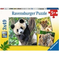 Ravensburger Kinderpuzzle Panda, Tiger und Löwe 3x 49 Teile