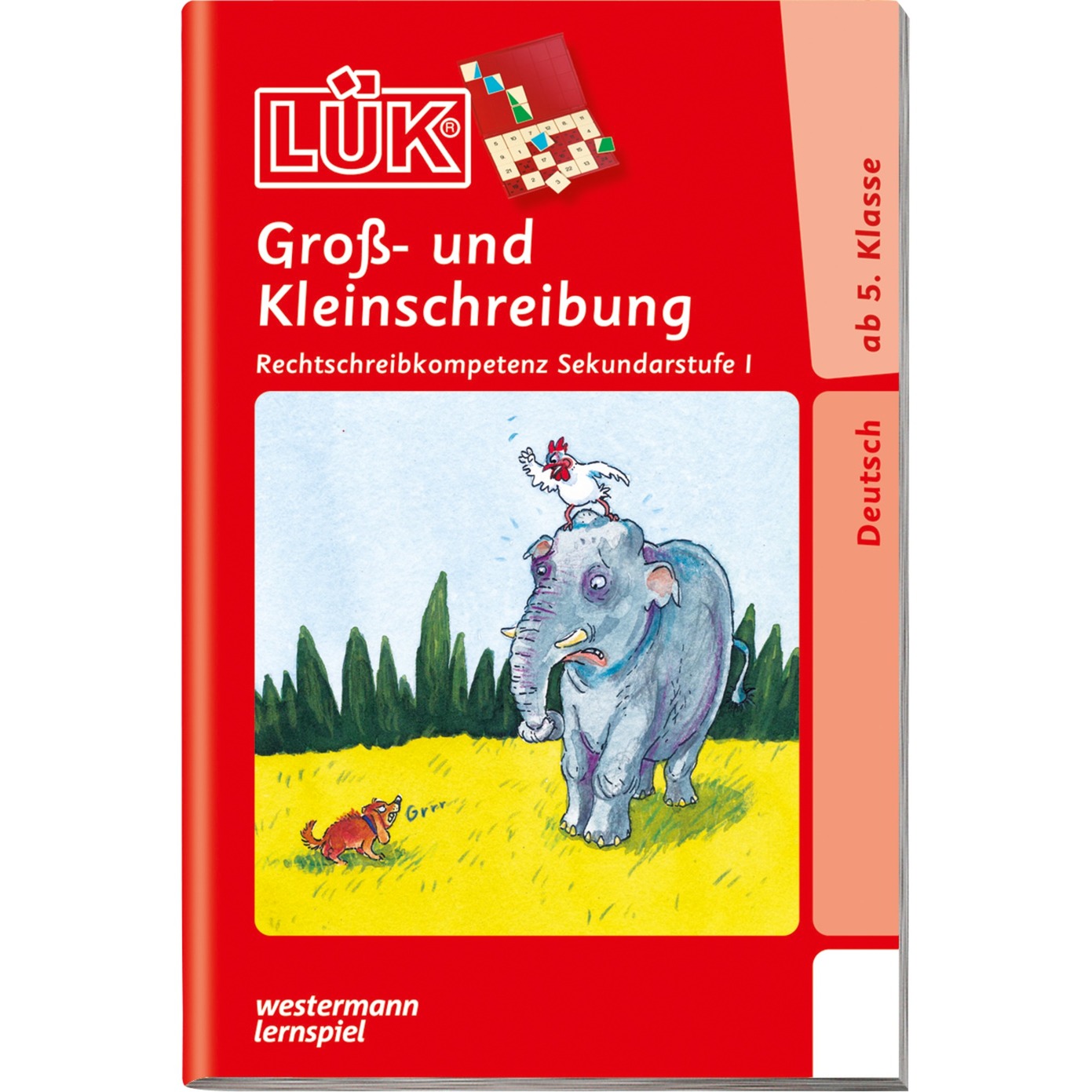 Groß- und Kleinschreibung ab Klasse 5 książka dla dzieci, Książki edukacyjne
