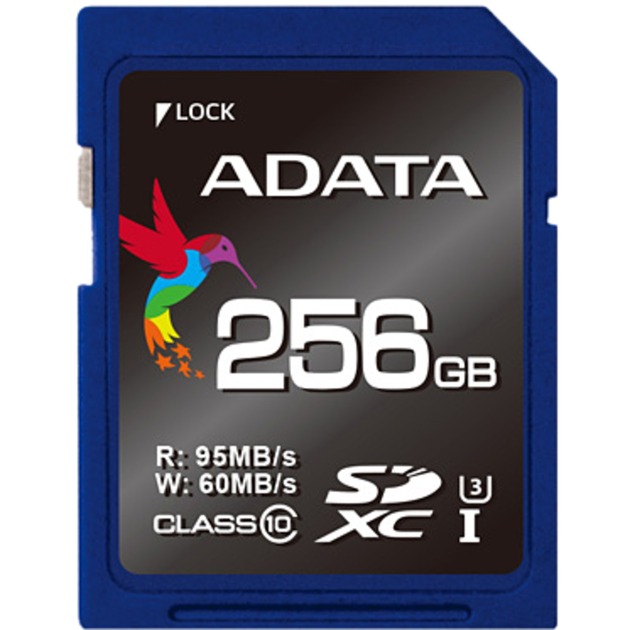 256 GB SDXC pamięć flash Klasa 3 UHS-I, Karty pamięci