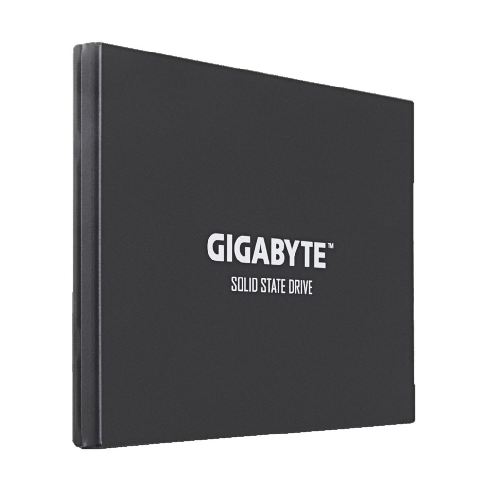 GP-GSTFS30256GTTD, Dysk SSD
