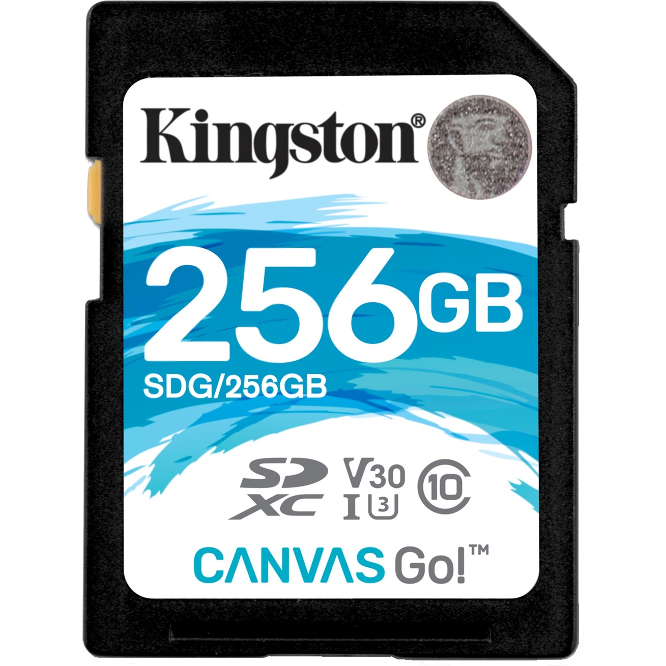 Canvas Go! pamięć flash 256 GB SDXC Klasa 10 UHS-I, Karty pamięci
