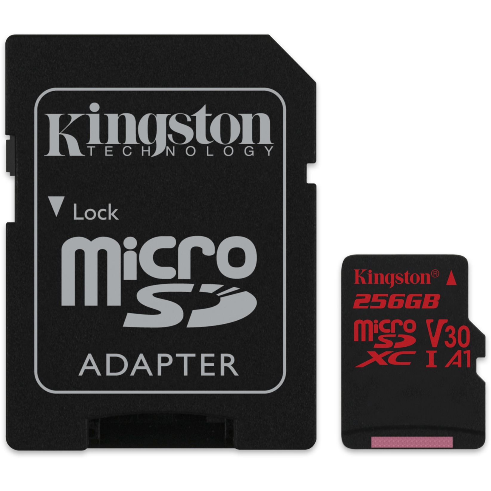 Canvas React pamięć flash 256 GB MicroSDXC Klasa 10 UHS-I, Karty pamięci
