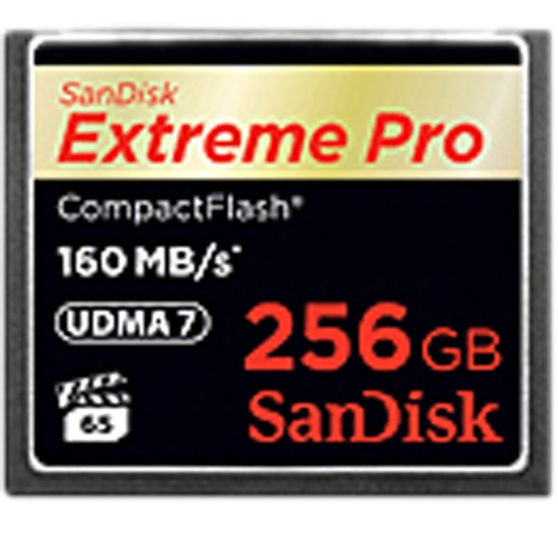 Extreme PRO, 256GB pamięć flash Karta pamięci CompactFlash, Karty pamięci
