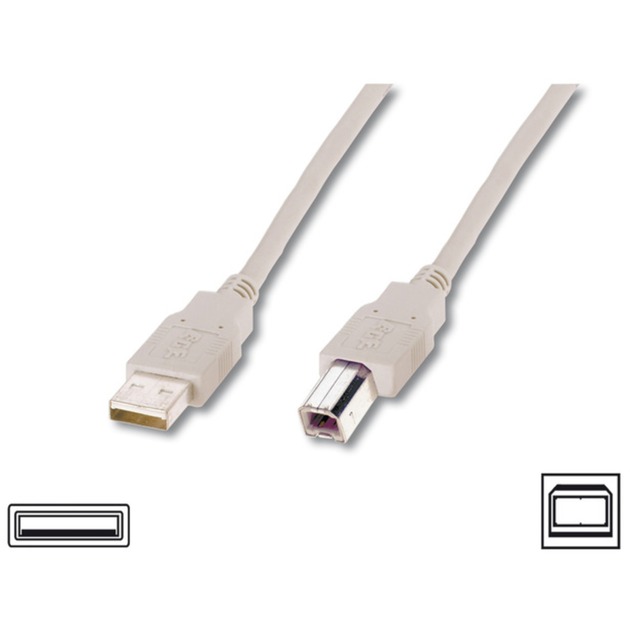 USB AB 300 LC HiSpeed 2.0 3m kabel USB USB A USB B Męska Szary
